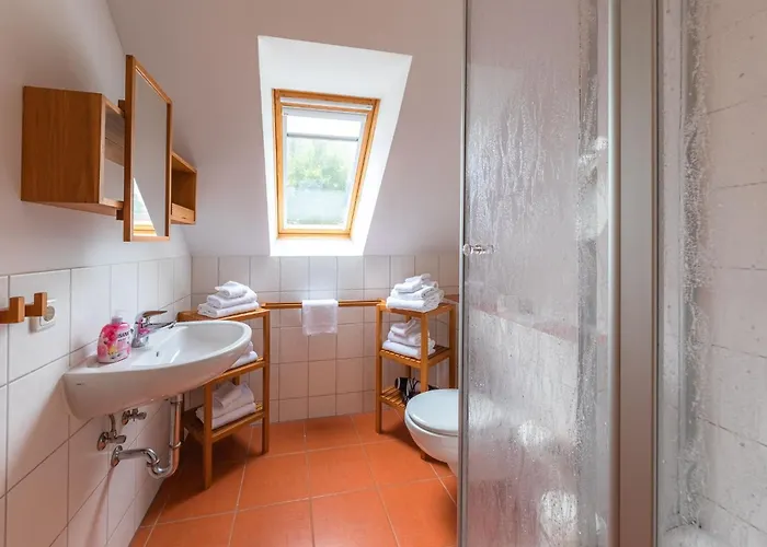 Sonnenblume_dh * Röbel